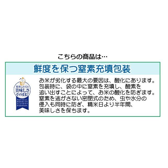 ポイント5倍 新米 無洗米 北海道ななつぼし 2合(300g)×1袋 メール便送料込み 令和5年産 米  お試し 特A（SL）