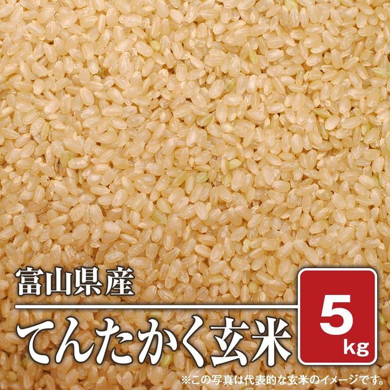 玄米富山県産 てんたかく （令和四年産）5kg