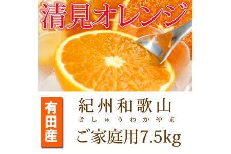 紀州有田産清見オレンジ　7.5kg ※2024年3月下旬頃～2024年4月下旬頃に順次発送予定(お届け日指定不可) 