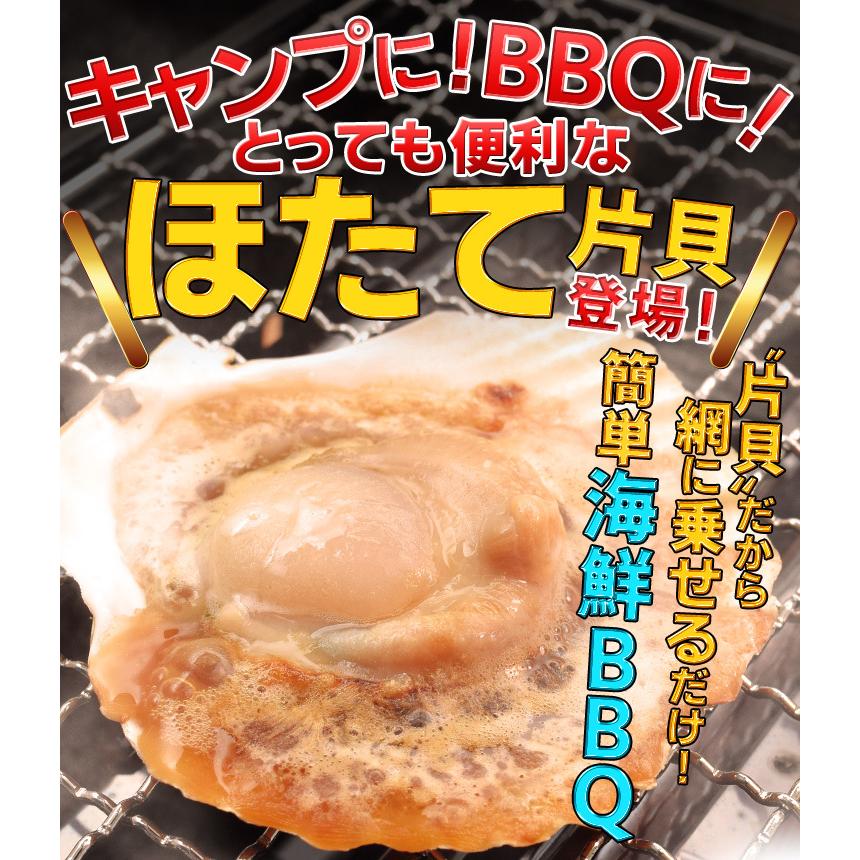 ほたて片貝 ２０枚 送料無料 冷凍 北海道産 ホタテ 殻付き 貝柱 海鮮 バーベキュー BBQ