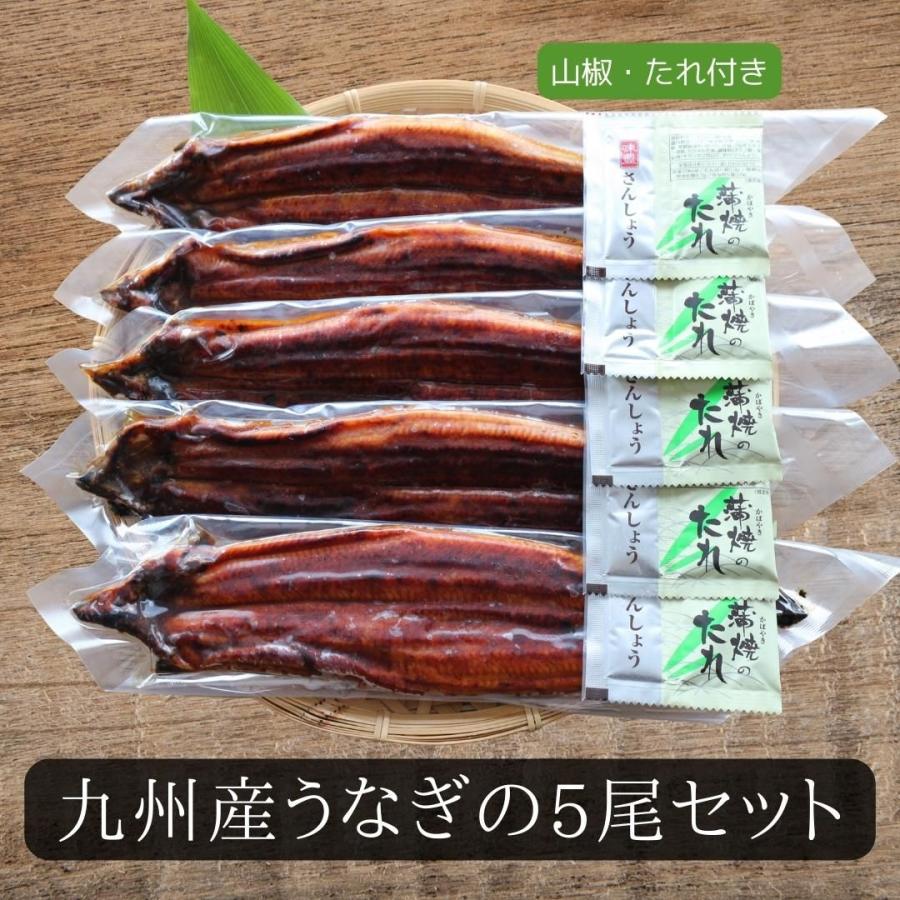 国産うなぎ蒲焼　5尾(約125ｇ×5）　 うなぎ 鰻 ウナギ 蒲焼 うな丼