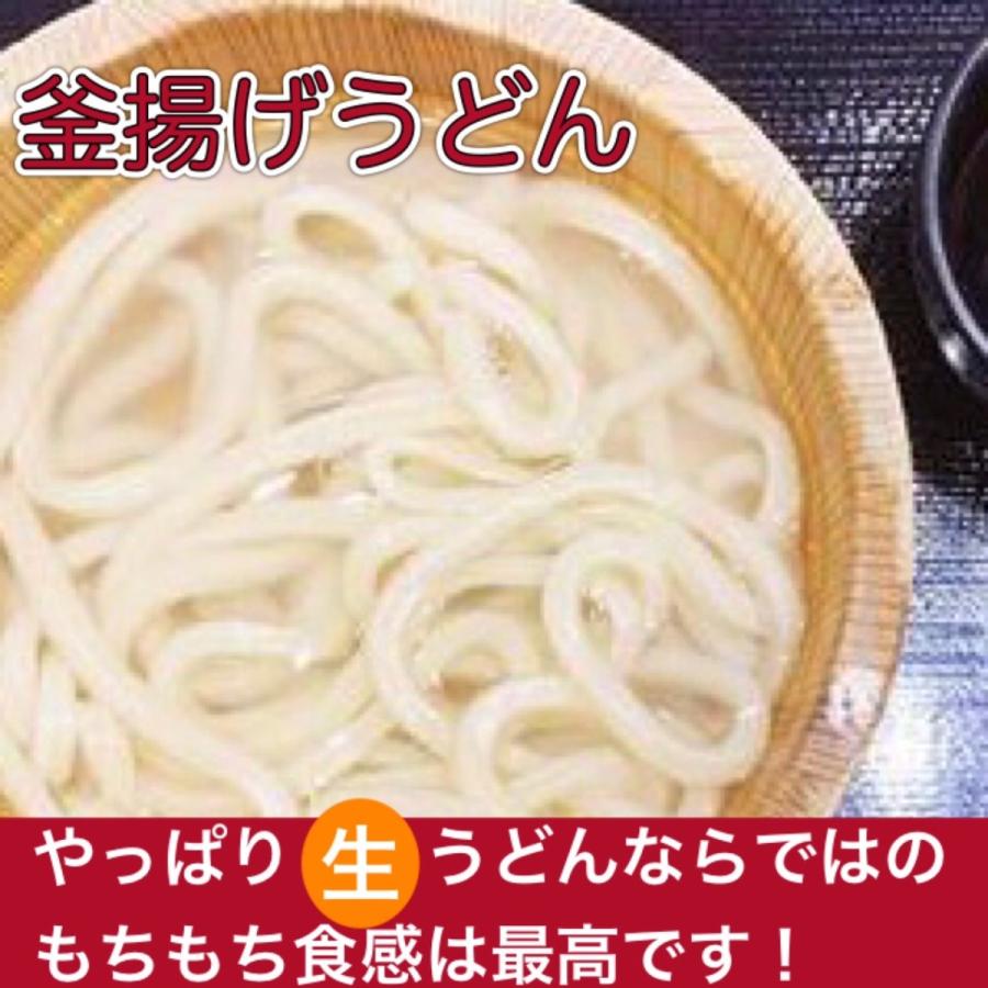 有頂天うどん　国産小麦100％使用　生　讃岐うどん　たっぷり900ｇ（7〜9人前）自家製麺