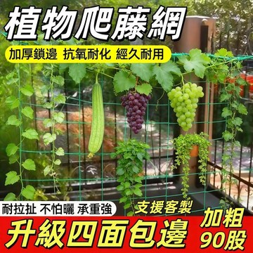 可客製💥免運出貨💖爬藤網 攀藤網 加粗90股 攀爬網 園藝網 絲瓜網 番茄網 植物攀爬網 爬藤網子 植物攀爬網 棚架網