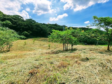 楊梅體育園區低總價景觀農地｜桃園市楊梅區二重溪段