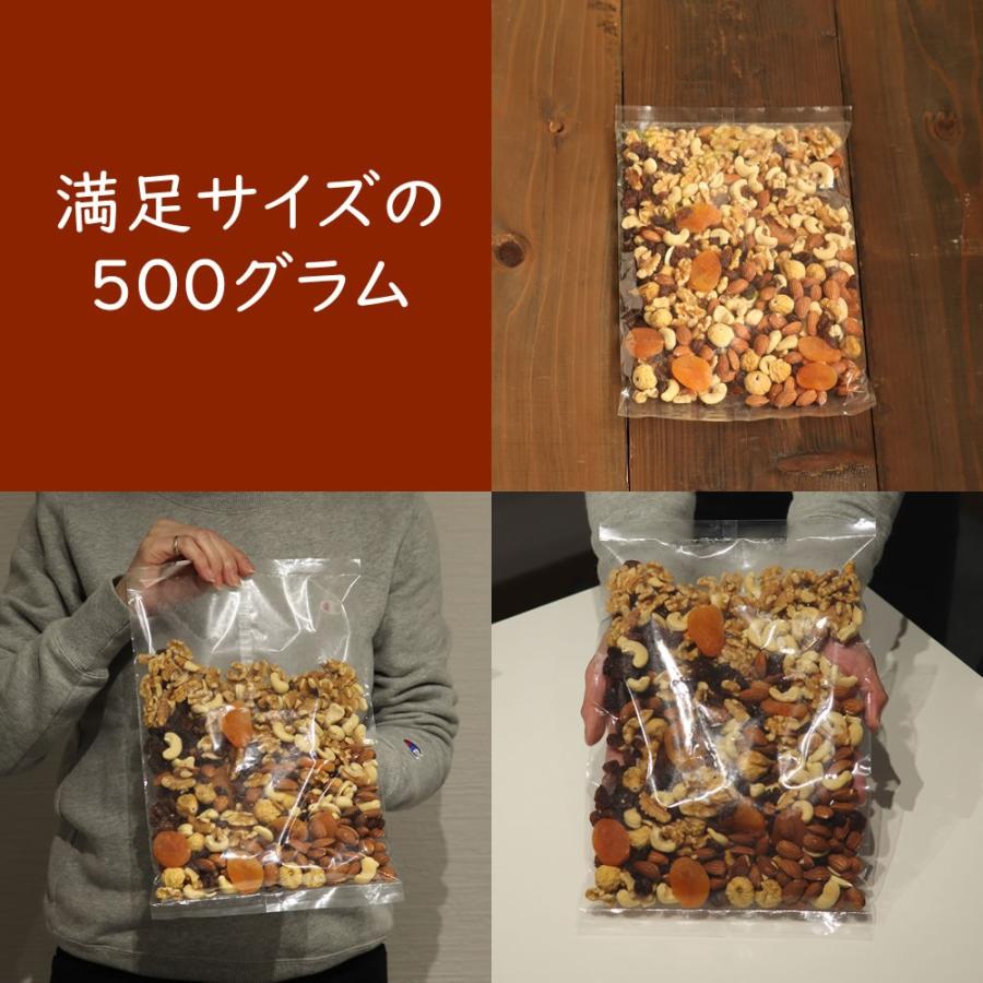 大地の生菓  ナッツ ドライフルーツ 9種類のナッツ＆ドライフルーツ ミックス 500ｇ 砂糖不使用 送料無料 クリスマス ギフト プレゼント 2023