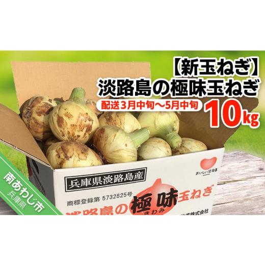 ふるさと納税 兵庫県 南あわじ市 極上の味　淡路島の極味玉ねぎ　10kg　◆配送3月中旬〜5月中旬