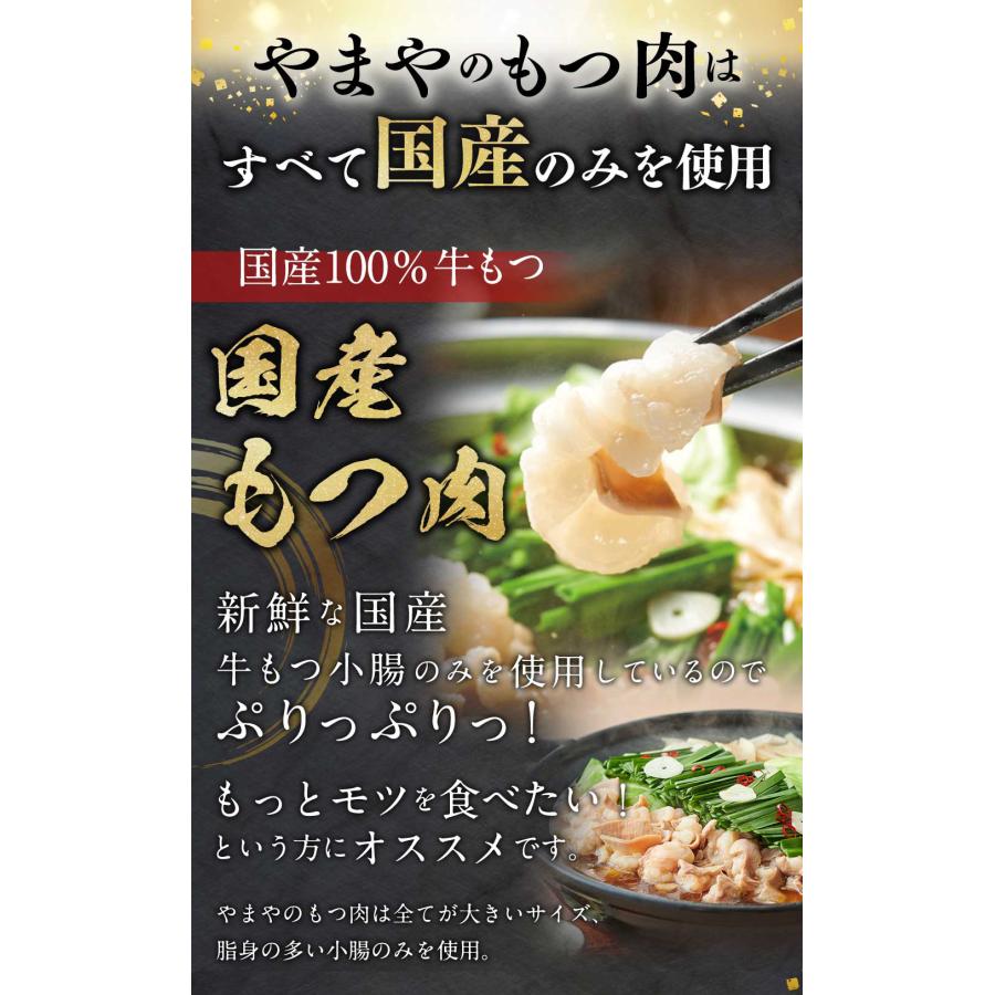 やまや 国産もつ肉300g(追加もつ肉)(九州 お取り寄せ グルメ おつまみ ご飯のお供 手土産 ギフト)