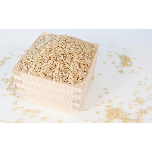 ふるさと納税 岐阜県 垂井町 T rice Store 岐阜県産コシヒカリ（玄米） 約30kg(5kg×6回）