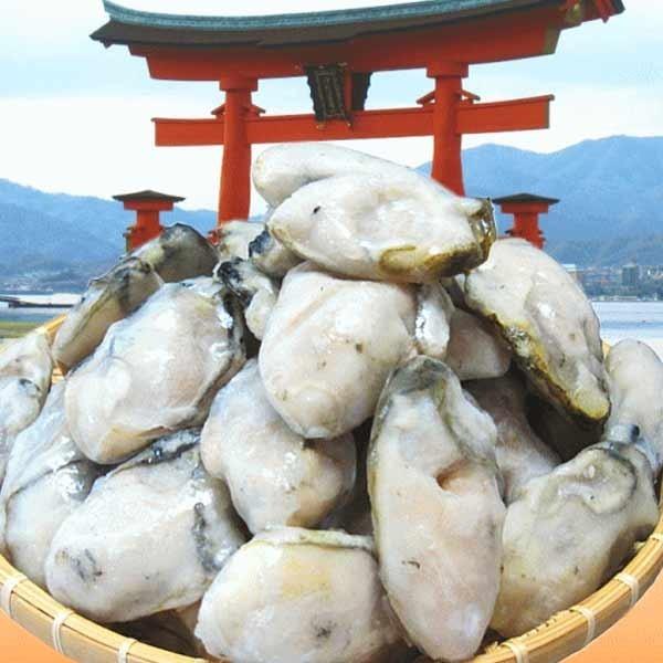 ギフト 牡蠣 かき 広島県産 広島カキ1kg(正味850g)×1袋 Lサイズ 広島産 鍋 ※送料1300円です