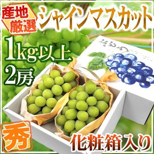 ”シャインマスカット” 秀品 2房 約1kg以上 化粧箱 産地厳選 送料無料