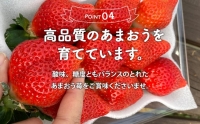 いちご 2023年12月より発送 うるう農園のあまおう スタンダード4パック 約1.14kg※配送不可：離島