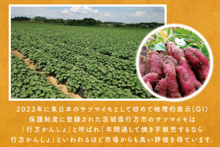 EY-9　茨城県行方市産熟成紅はるかの冷凍焼き芋約3キロ！おまけ付!!合計約3.3キロ!!!