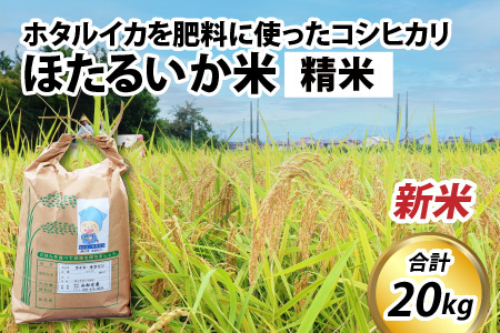 ほたるいか米（新米 精米２０kg）