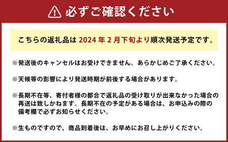 ＜栽培期間中無農薬・無化学肥料栽培／熊本県水俣市産／耕人舎＞甘くて柔らかい！早採りサラダ玉ねぎ 7kg (優品・サイズ混合）