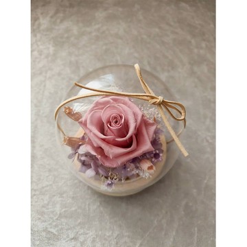 【OSTARA FLORIST 奧斯塔拉花藝】玫瑰女王玻璃球永生花(粉色)-永生花、乾燥花、花禮、祝賀、情人節、母親節、交換禮物