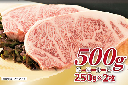 艶さし！佐賀牛サーロインステーキ 250g×2枚(合計500g) 肉 牛肉 ステーキ 焼肉 BBQ バーベキュー ギフト アウトドア 「2023年 令和5年」