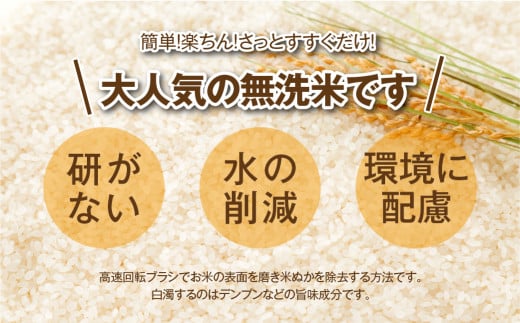   ＼定期便3回／ コシヒカリ 30kg 10kg ずつ 3回 配送ギフト 贅沢 のし対応 １週間以内発送 福島 ふくしま 田村 贈答 美味しい 米 kome コメ ご飯 ブランド米 精米したて お米マイスター 匠 食味鑑定士 安藤米穀店 T10-RM44-K10-3