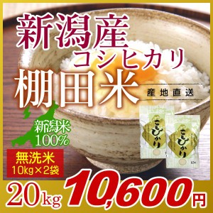 お米 20kg 無洗米 棚田米 新潟産コシヒカリ (10kg×2袋) 令和5年産 新米   米 高級銘柄米 新潟米 ブランド米 新潟 新潟県産 国内産 人気