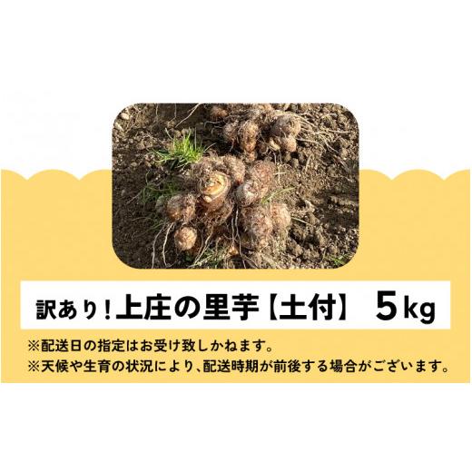 ふるさと納税 福井県 大野市 訳あり！上庄の里芋　5kg