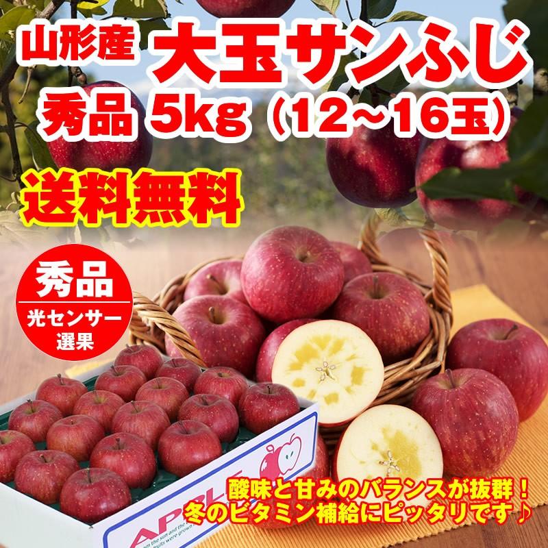 サンふじ りんご 送料無料 山形県産 大玉 5kg 12-16玉