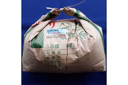  色彩選別加工済大和米 奈良県広陵町ヒノヒカリ玄米10kg／玄米