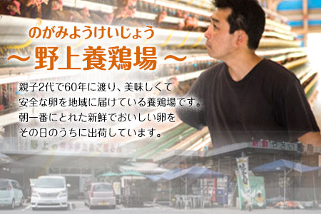 朝獲れ卵 味宝卵 (80個) 卵 Lサイズ 鶏卵《90日以内に順次出荷(土日祝除く)》野上養鶏場