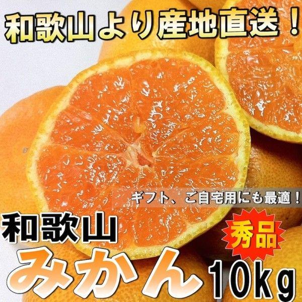 和歌山県産 みかん ミカン 秀品 １０ｋｇ（極早生みかん〜普通みかん）(ギフト、ご自宅用）