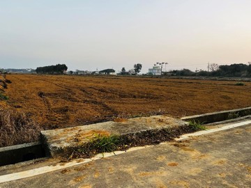 桃園農改場旁水源充沛大面寬方正美農地Ｂ｜桃園市新屋區後庄