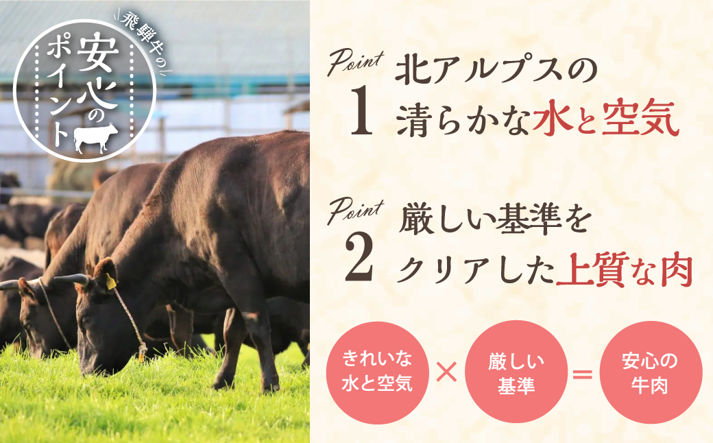 飛騨牛サーロインステーキ（サーロイン680ｇ）