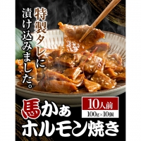 馬ホルモン焼 10個セット 10人前 (100g×10個)《60日以内に順次出荷(土日祝除く)》 熊本県 御船町 ホルモン ホルモン焼き 馬ホルモン 馬 馬肉 タレ たれ千興ファーム 送料無料