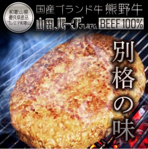 国産 高級 ハンバーグ 熊野牛 山田バーグ 1,350g 大きい BIG サイズ 美味しい BBQ バーベキュー グルメ ギフト 冷凍 食品 お取り寄せ