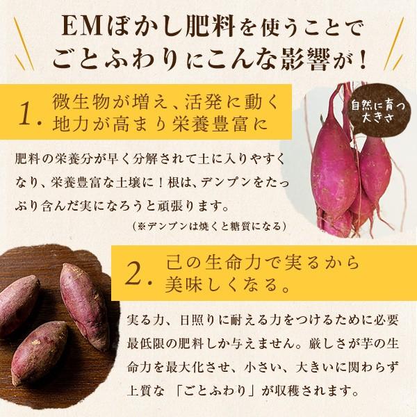 お歳暮 ギフト プレゼント さつまいも 焼き芋 冷凍焼き芋 シルクスイート ごとふわり4袋 計1.2kgセット