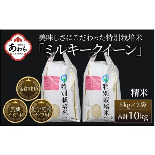 ふるさと納税 福井県 あわら市 令和5年産新米 ミルキークイーン 精米 5kg×2袋（計10kg） 特別栽培米 農薬不使用 化学肥料不使用 ／ 高品質 鮮度抜群 福井県産…