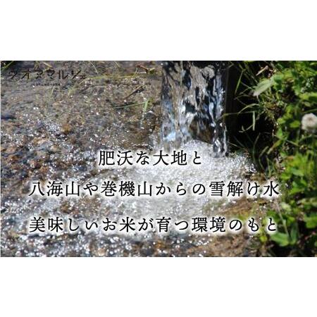 ふるさと納税 新米 令和５年産 おかずのいらない 魚沼産コシヒカリ　無洗米１０ｋｇ 新潟県南魚沼市