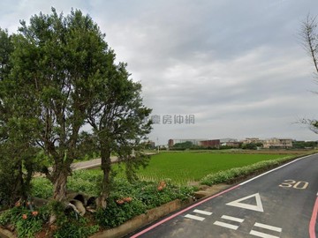（育仁國小雙面臨路美農地）｜桃園市觀音區育仁段