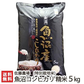 特別栽培米（減農薬・減化学肥料）魚沼産コシヒカリ 精米5kg 佐藤農場 送料無料