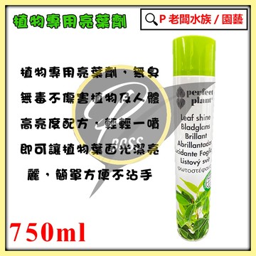 P老闆園藝~葉面亮光劑 (亮葉劑) 750cc 去除葉面灰塵 增加葉面亮度 植物保護劑