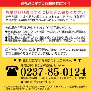 ふるさと納税 ■2024年1月下旬発送■新米 20kg(5kg×4袋) 「清流寒河江川育ち 山形産はえぬき」 2023年産　029-C-JA011-01下 山形県寒河江市