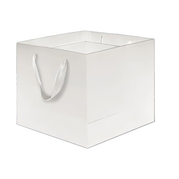 白卡紙袋 Set 10個  白方3  20 x 20 x 20cm  1包