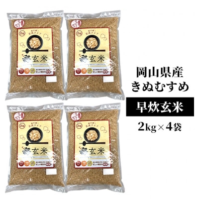 早炊 玄米 岡山県産 きぬむすめ 2kg×4袋 お米 国内産  [No.5735-1858]