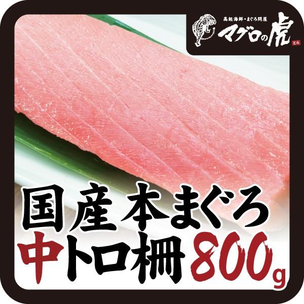 本マグロ 中トロ 柵 800g（200g×4柵） 刺身 国産 お取り寄せ グルメ ギフト まぐろ 鮪