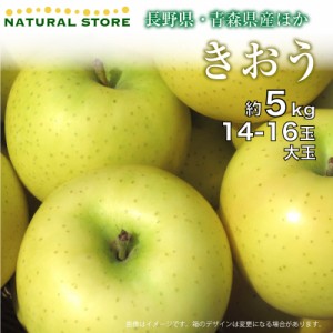 [最短順次発送]  きおう 14-16玉 大玉 約 5kg 化粧箱 秋ギフト りんご リンゴ 長野県 青森県 岩手県 ほか 果実専用箱