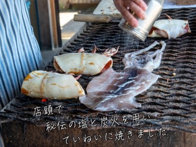 わさおの店の炭火焼きいか 5パック 200g以上×5枚