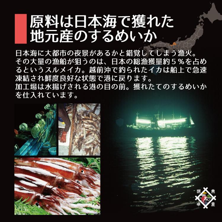 お歳暮 バーベキューセット 海鮮 するめいか 干物 10枚 添加物不使用 