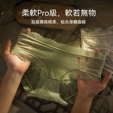 台灣现貨 夏季網紗內褲 法式內褲 女士三角褲 蕾絲內褲 女士內褲 薄款內褲 中腰內褲 夏季薄款內褲 純棉襠內褲
