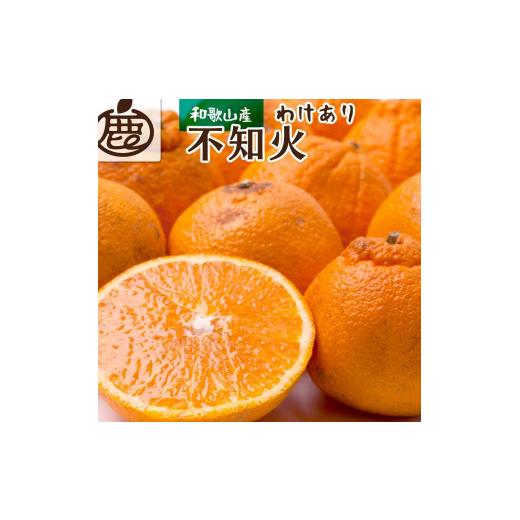 ふるさと納税 和歌山県 有田川町 家庭用 不知火2kg 60g（傷み補償分）＜2月より発送＞＜先行予約＞