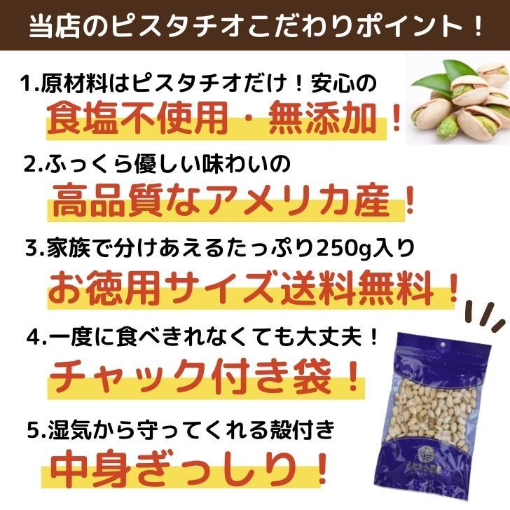 無塩 ロースト ピスタチオ 250g 殻付 2袋 アメリカ産 ナッツ 食塩不使用 無添加 おつまみ 美容食 おやつ 健康食品