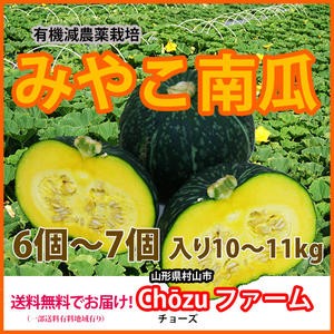かぼちゃ カボチャ  国産 特徴 レシピ 栽培 旬 種 品種  有機 かぼちゃの種 北海道