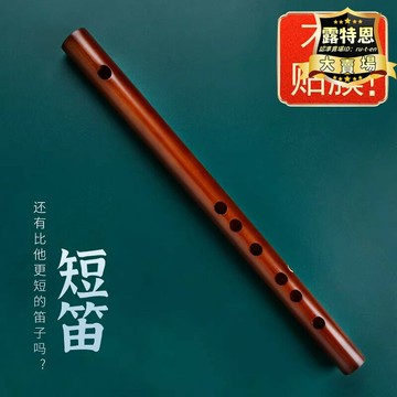 【台灣出貨】古風初學苦竹笛子成人零基礎調兒童橫笛入門無膜短笛冷門小樂器