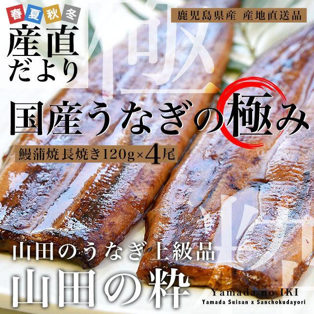 鹿児島県産 山田水産の極上国産うなぎ蒲焼「山田の粋（やまだのいき）」長焼（120g×4尾）送料無料 鰻蒲焼 ウナギ ※クール冷凍便